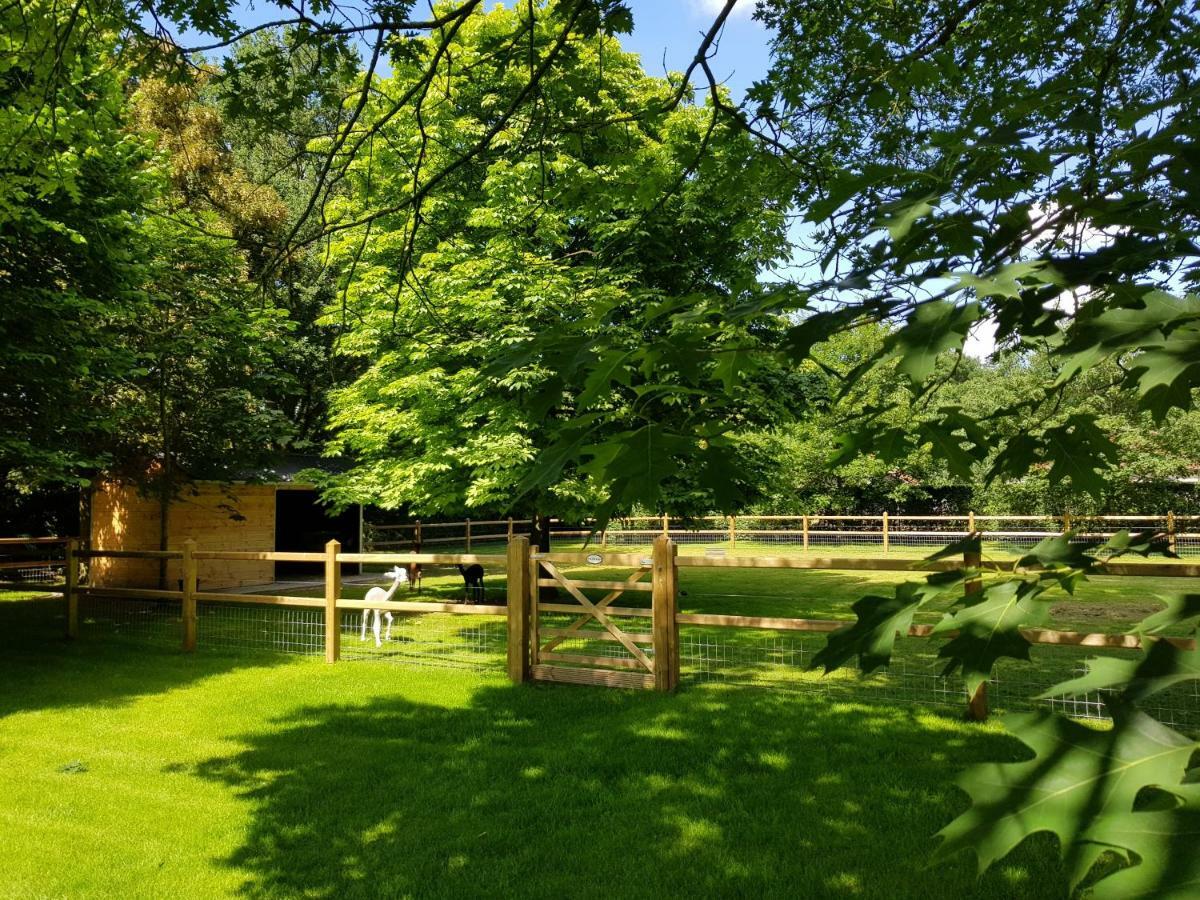 Вилла The Two Oaks - Private Garden For Guests Hertsberge Экстерьер фото