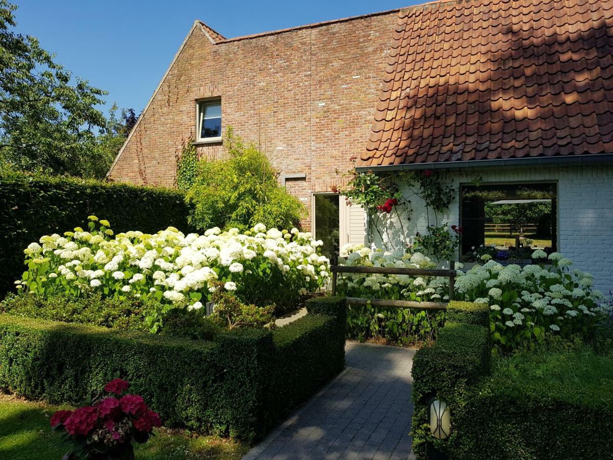 Вилла The Two Oaks - Private Garden For Guests Hertsberge Экстерьер фото