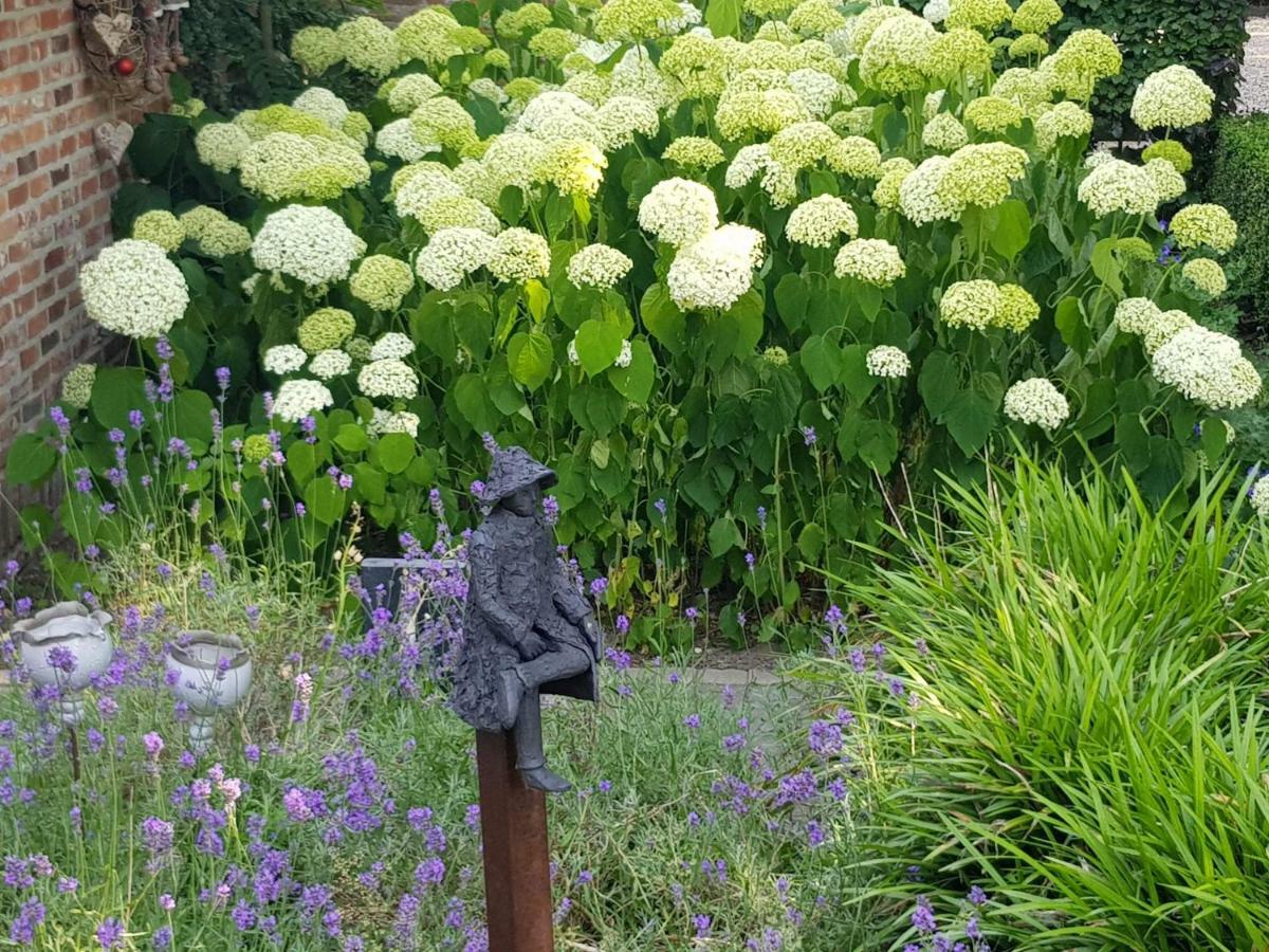 Вилла The Two Oaks - Private Garden For Guests Hertsberge Экстерьер фото